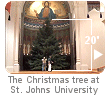 My Alma Mater. Getting the tree inside took manpower!  New window not opening?  To bypass your pop-up blocker program, hold down your [CTRL] key when clicking.